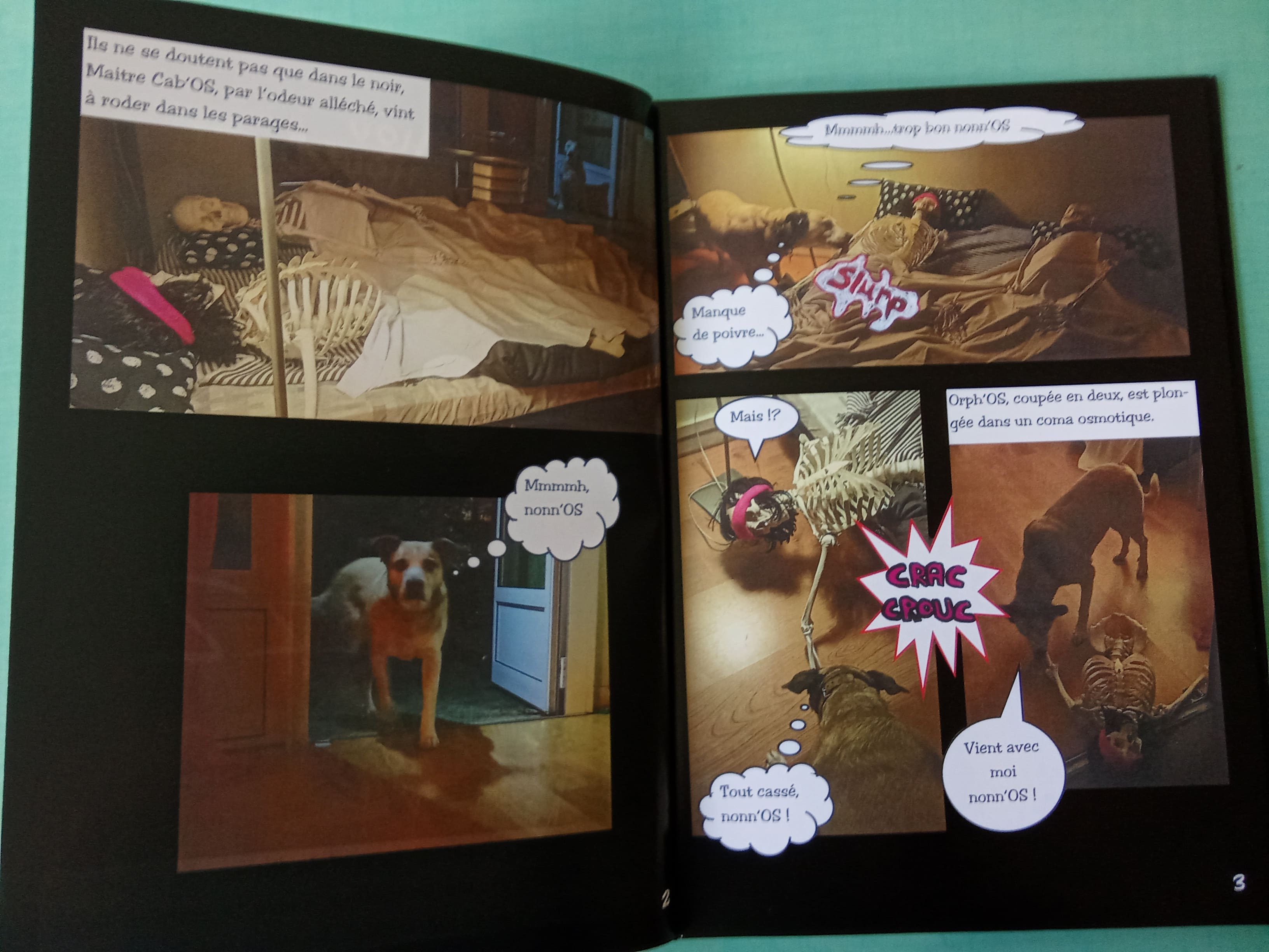 deux pages de BD